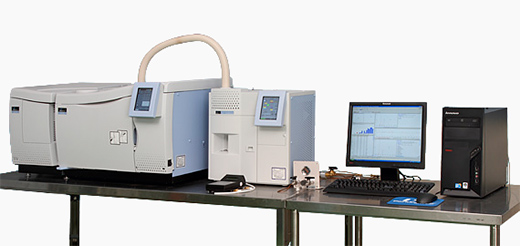 Gas chromatograph analyzer